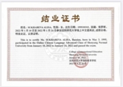 Сертификат о прохождении онлайн курса по китайскому языку. Уровень - продвинутый.