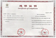 Сертификат о прохождении онлайн обучения в китайском университете на английском языке