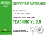 Сертификат о прохождении курса по обучению младших школьников 2020