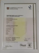 Cambridge English level 2 certificateIn ESOL international ( advanced)