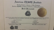 American TESOL Institute Certificate 2