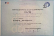 Сертификат Delf B2