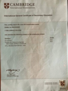 Сертификат Экономика и Английский язык