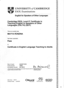 Международный Кэмбриджский сертификат преподавателя английского языка