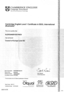 Business English ( Cambridge certificate)