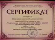 Сертификат Школа Вожатых