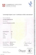 Сертификат CAE