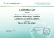 Сертификат прохождения курса «Школа Java Developer”