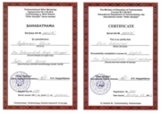 Сертификат по Английскому языку Pre Intermediate level