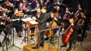 Дирижёр Молодёжного Камерного оркестра юга России