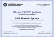 Сертификат TESOL/TEFL