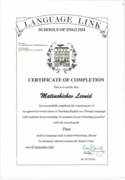 Кембриджский сертификат TEFL - преподавание английского языка