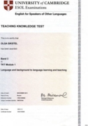 Международный сертификат TKT 1