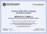 120-Hours TESOL/TEFL Certificate