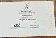 Сертификат Принципы движения