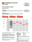 Сертификат FCE (уровень английского - В2)