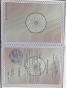 Сертификат об успешном окончании 3-х годичных курсах китайского языка при ВГУ