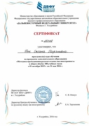 Сертификат о прохождении программы "методика преподавания русского языка как иностранного"