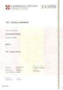 Сертификат ТКТ