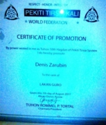 Диплом официального представителя Pekiti-Tirsia Kali