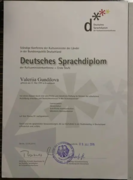 Deutsches Sprachdiplom (Erste Stufe)