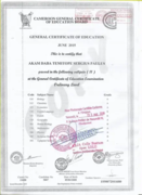 General Certificate of Education Ordinary Level (GCE-OL)