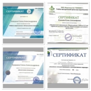 Сертификат ВШПК ( семейное консультирование, 2014-2015гг, Генезис( Трудности школьного обучения, 2021г), Нейропрактик( Работа нейропсихолога с детьми детского возраста, мозжжечковая стимуляция, 2023г)