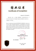 Обучение в Пекинском университете иностанных языков