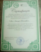 Сертификат о прохождении курса особой лексики и идиоматики китайского языка