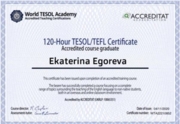 TESOL/TEFL Certificate