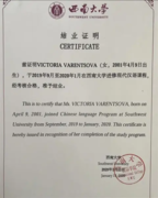 Сертификат о прохождении дополнительной практики