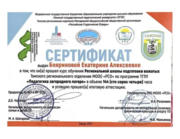 Сертификат о прохождении школы вожатых
