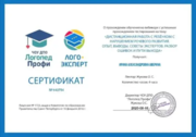 Сертификат по работе с детьми ОВЗ