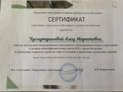 Сертификат участника городского фестиваля уроков математики
