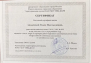 Сертификат члена жюри по проверке ВОШ