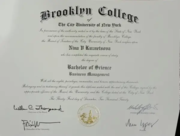 Brooklyn College in Business Management