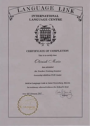 Сертификат о прохождении курса по подготовке к экзаменам YLE