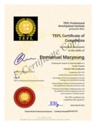 Teachers certificate (TEFL)