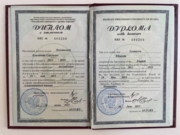 Красный диплом переводчика с английского языка