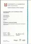 Кембриджский сертификат CAE