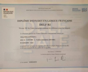 Сертификат DELF B2, 2022 год