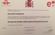 Международный сертификат по испанскому языку Dele (уровень B2)