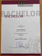 Сертификат Bachelor Informatik