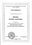 Диплом о прохождении мастер-класса профессора В.О.Семенюка