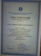 Сертификат Высшей Школы экономики "подготовка школьников к олимпиадам"