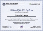 TESOL/TEFL