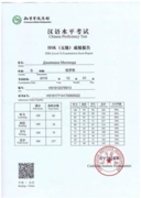 HSK5 Certificate