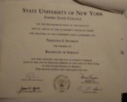 Диплом New York - Empire State College