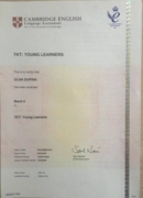 Сертификат Teaching Knowledge Test Young Learners (TKT YL)