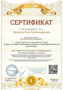 Сертификат о прохождении теста по методике преподавания